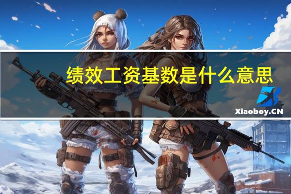 绩效工资基数是什么意思
