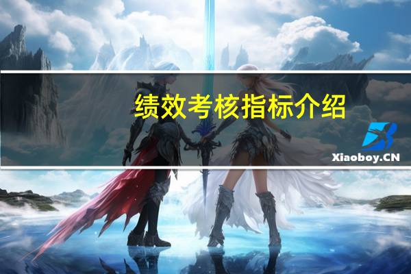 绩效考核指标介绍