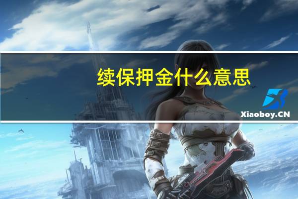 续保押金什么意思