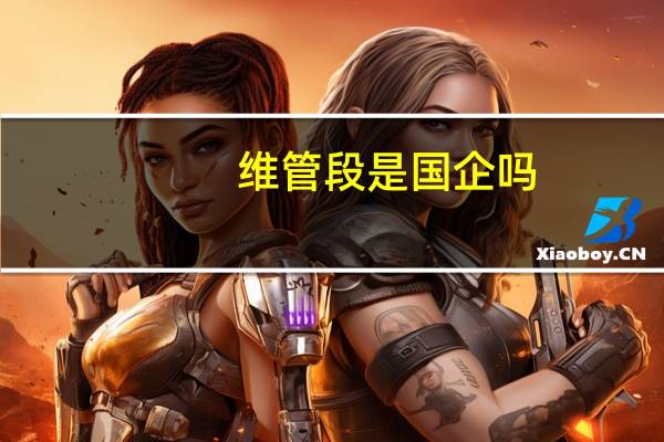 维管段是国企吗