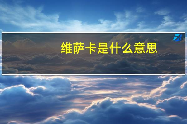 维萨卡是什么意思