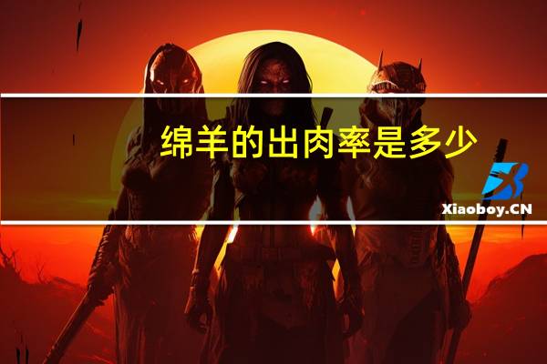 绵羊的出肉率是多少