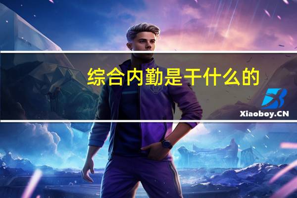 综合内勤是干什么的