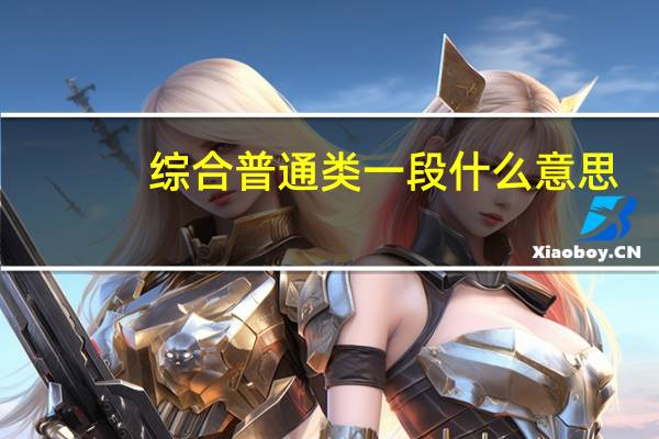 综合普通类一段什么意思
