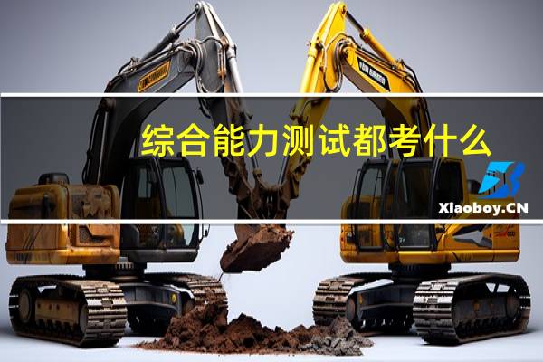 综合能力测试都考什么