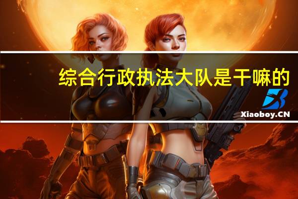 综合行政执法大队是干嘛的