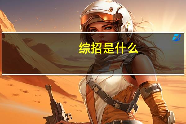 综招是什么