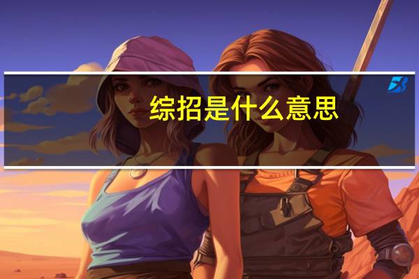 综招是什么意思