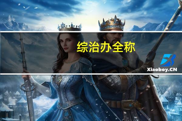 综治办全称
