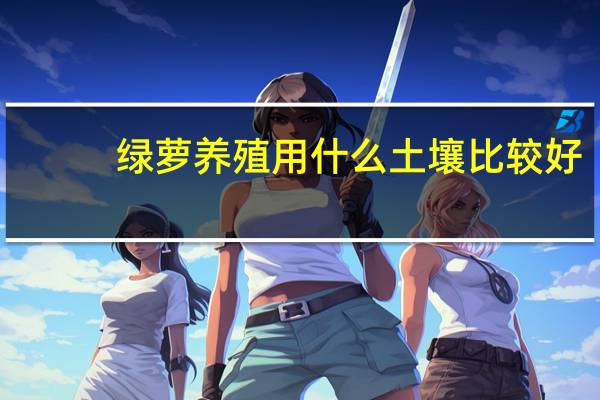 绿萝养殖用什么土壤比较好