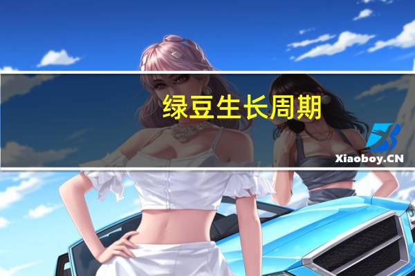绿豆生长周期
