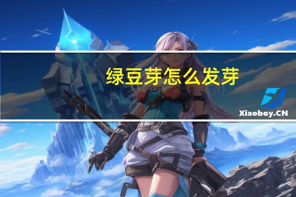 绿豆芽怎么发芽
