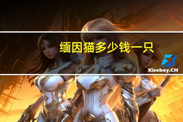 缅因猫多少钱一只