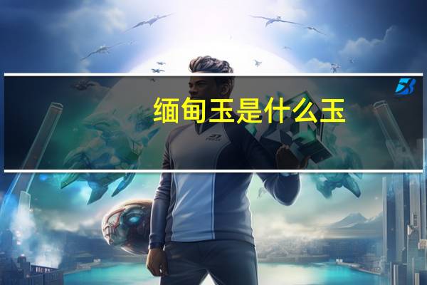 缅甸玉是什么玉