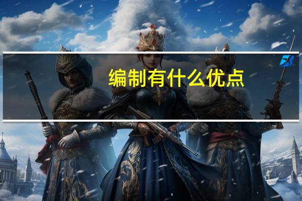 编制有什么优点