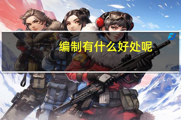 编制有什么好处呢