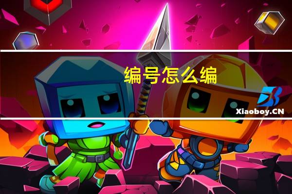 编号怎么编