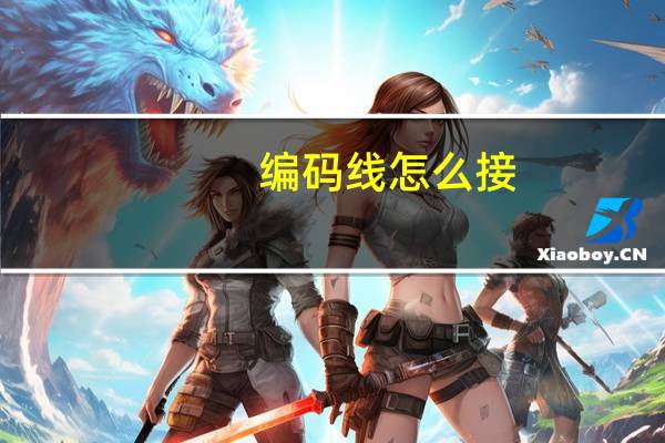 编码线怎么接