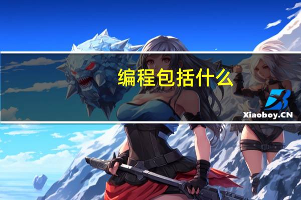编程包括什么