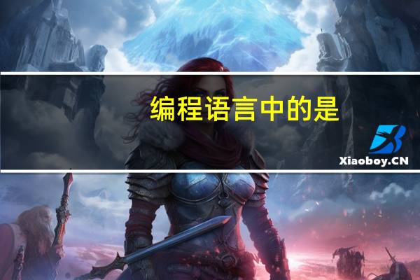 编程语言中的是