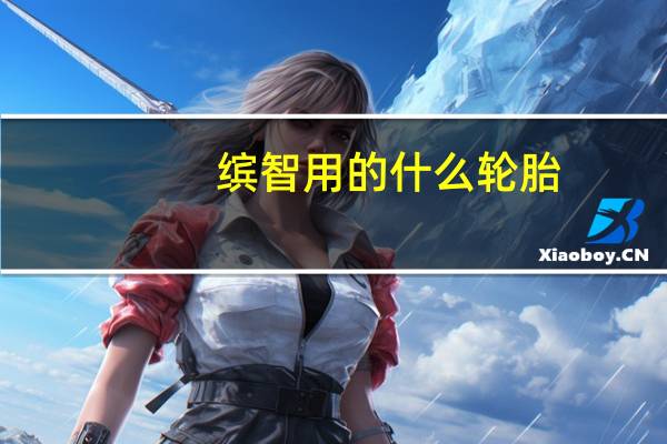 缤智用的什么轮胎
