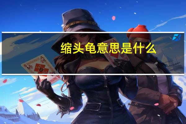 缩头龟意思是什么