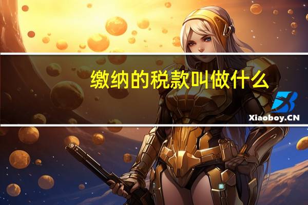 缴纳的税款叫做什么