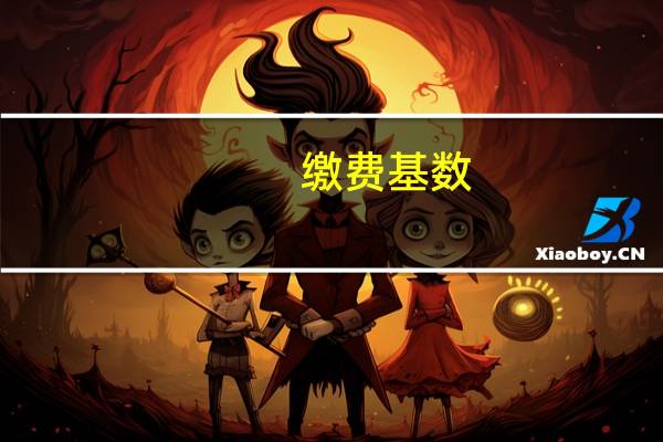 缴费基数,是什么意思啊