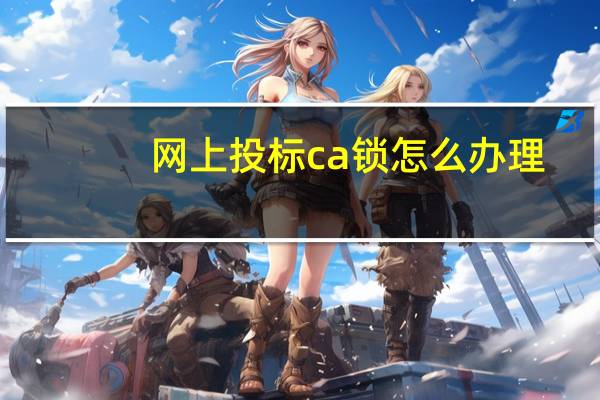 网上投标ca锁怎么办理