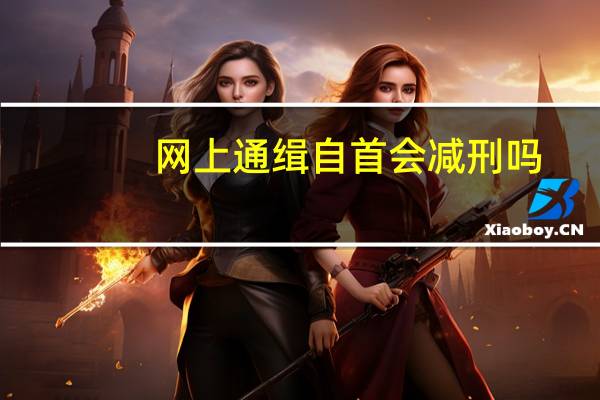 网上通缉自首会减刑吗