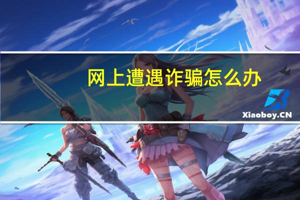 网上遭遇诈骗怎么办