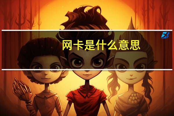网卡是什么意思