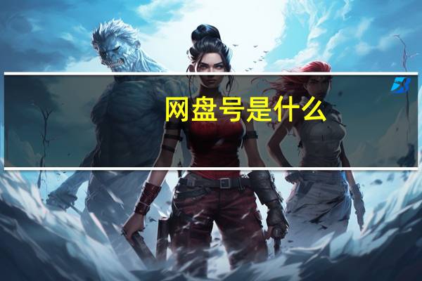 网盘号是什么