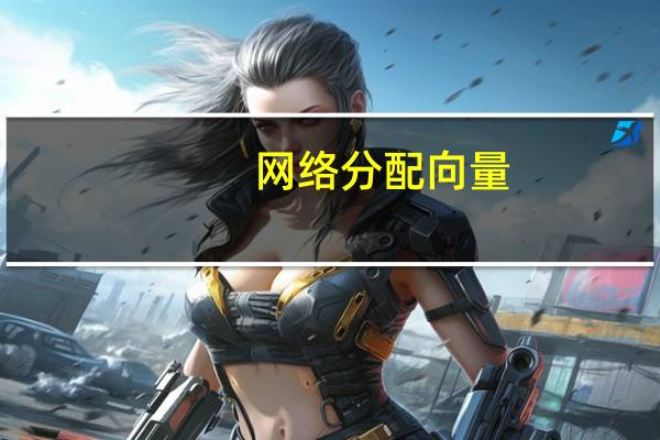 网络分配向量