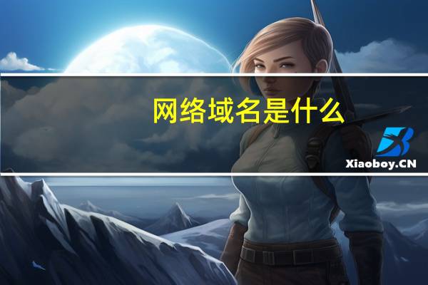 网络域名是什么