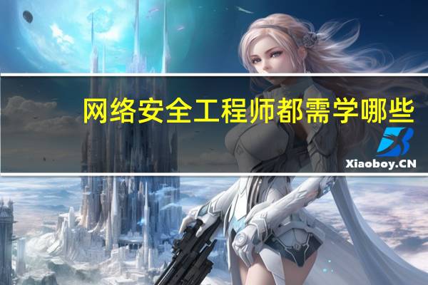 网络安全工程师都需学哪些