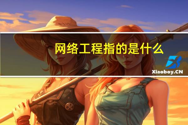 网络工程指的是什么