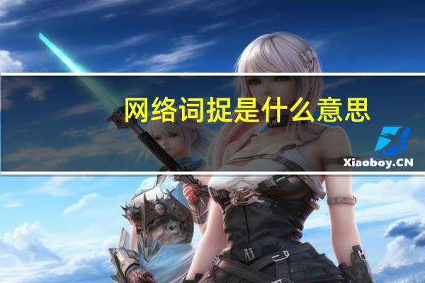 网络词捉是什么意思?