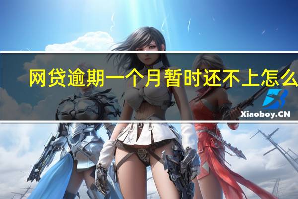 网贷逾期一个月暂时还不上怎么办