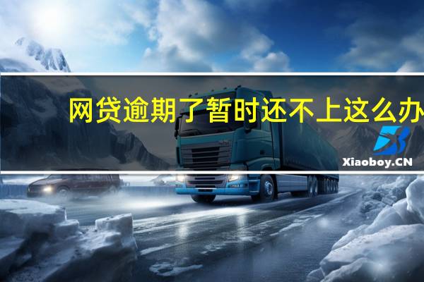 网贷逾期了暂时还不上这么办