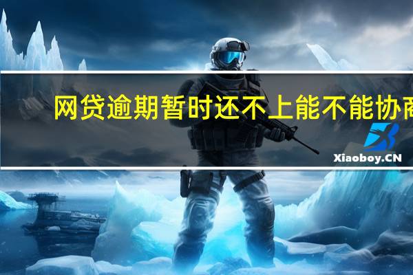 网贷逾期暂时还不上能不能协商