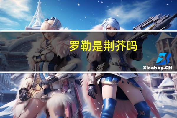 罗勒是荆芥吗