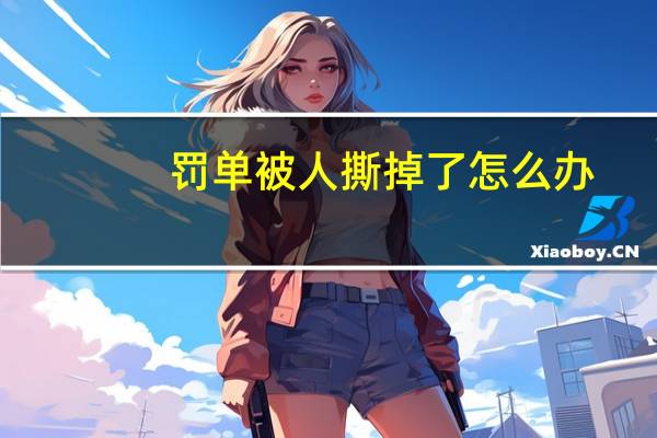 罚单被人撕掉了怎么办