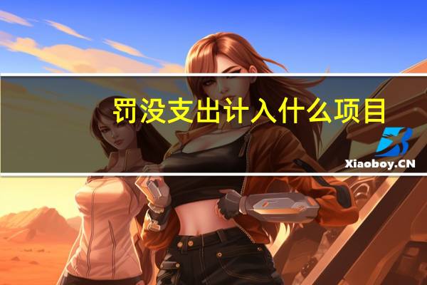 罚没支出计入什么项目