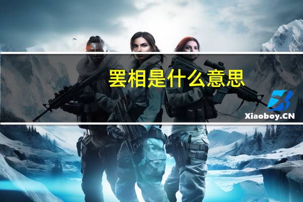 罢相是什么意思