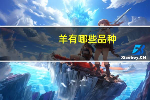 羊有哪些品种