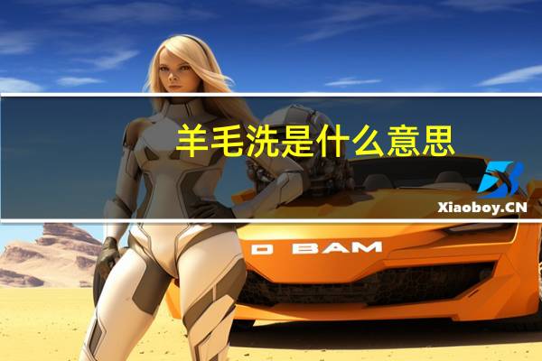 羊毛洗是什么意思