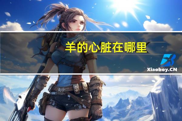 羊的心脏在哪里