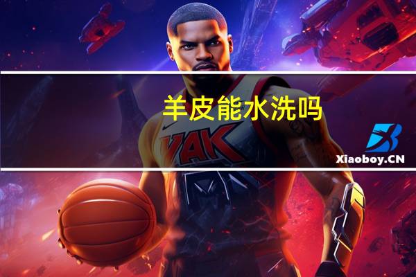羊皮能水洗吗