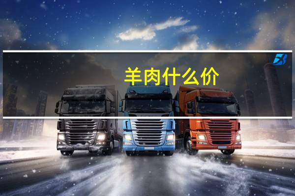 羊肉什么价
